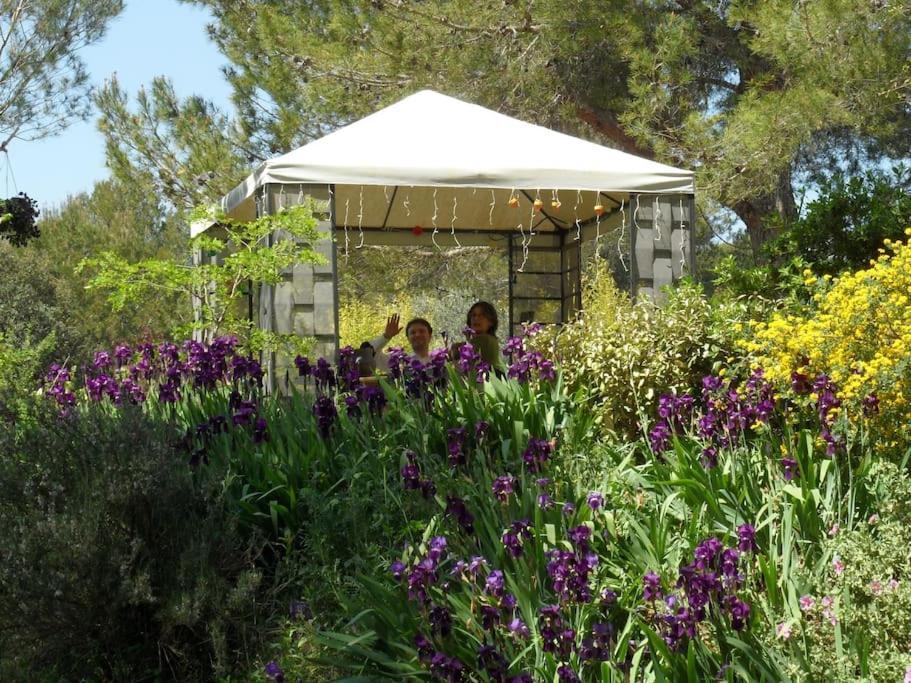 L'Oliveraie En Provence Lambesc Buitenkant foto